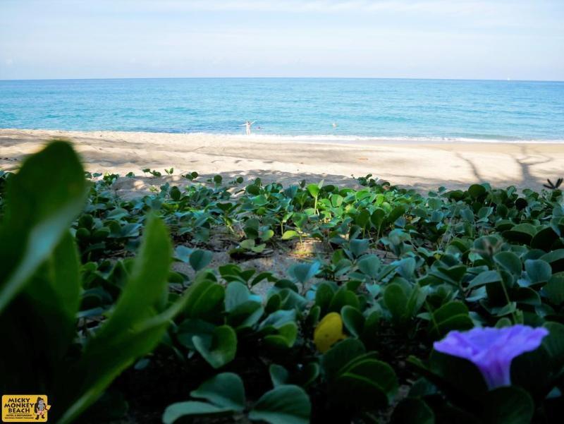 Micky Monkey Beach At Maikhao Beach Hotell Mai Khao Eksteriør bilde